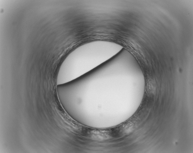 X0000086890367200704161012