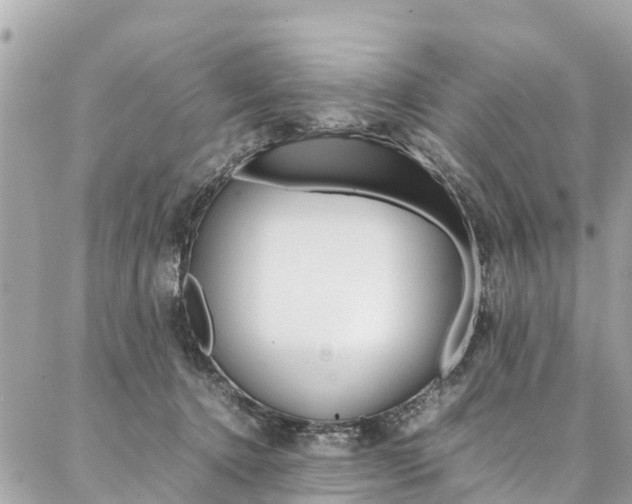 X0000086890368200704161012