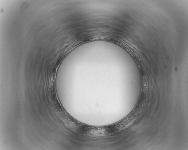 X0000086890369200704161012