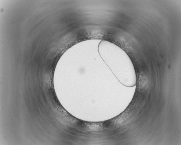 X0000086890370200704161012