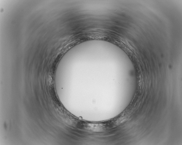 X0000086890371200704161012