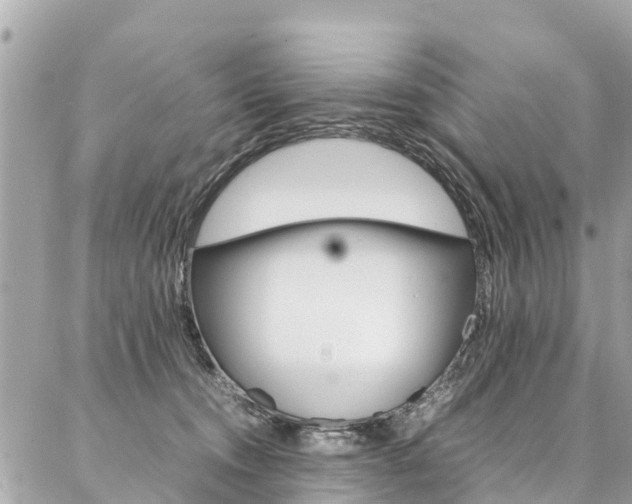 X0000086890372200704161012