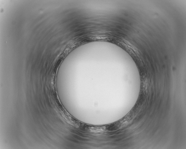 X0000086890373200704161012