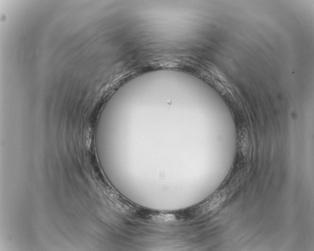 X0000086890374200704161012