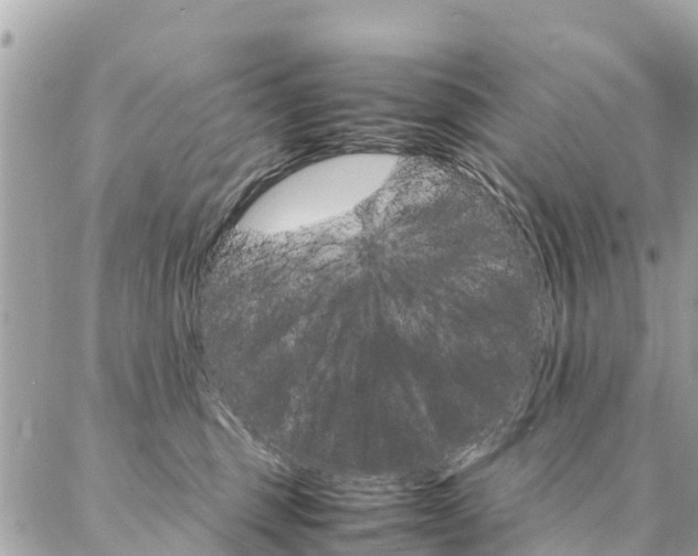 X0000086890375200704161012