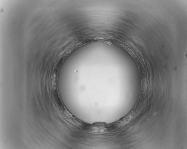 X0000086890376200704161012