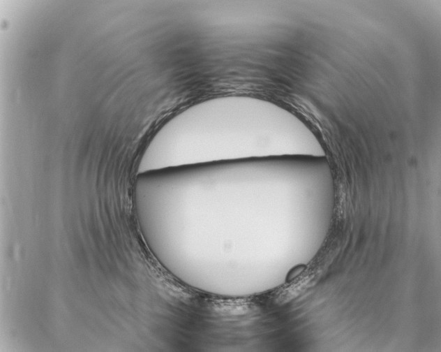 X0000086890377200704161012