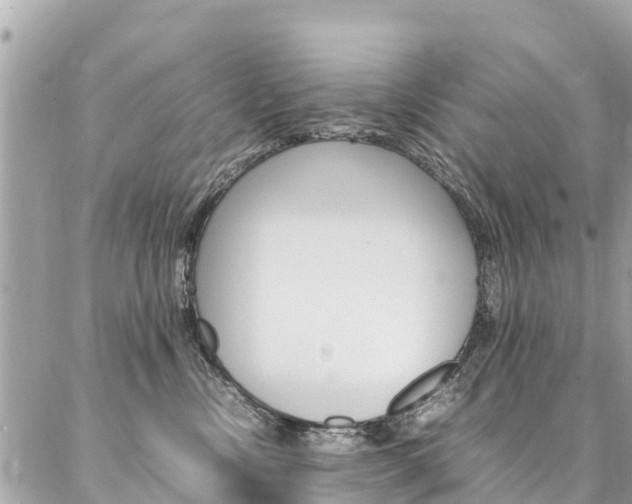 X0000086890378200704161012