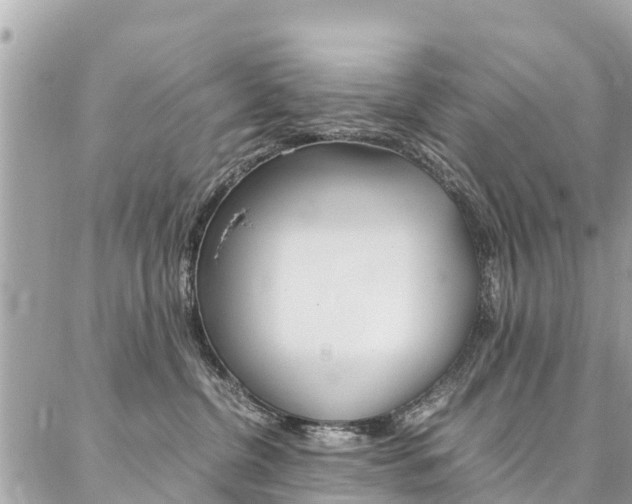 X0000086890380200704161012