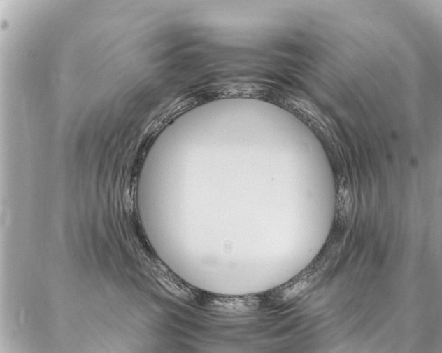 X0000086890381200704161012