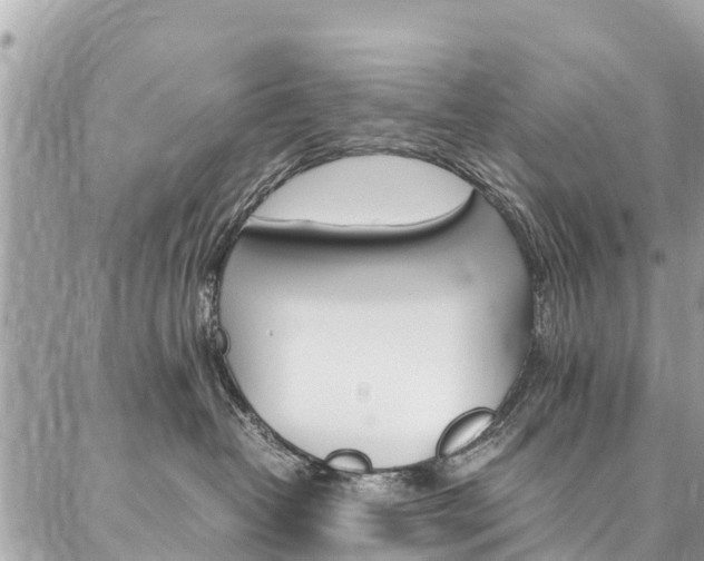 X0000086890382200704161012