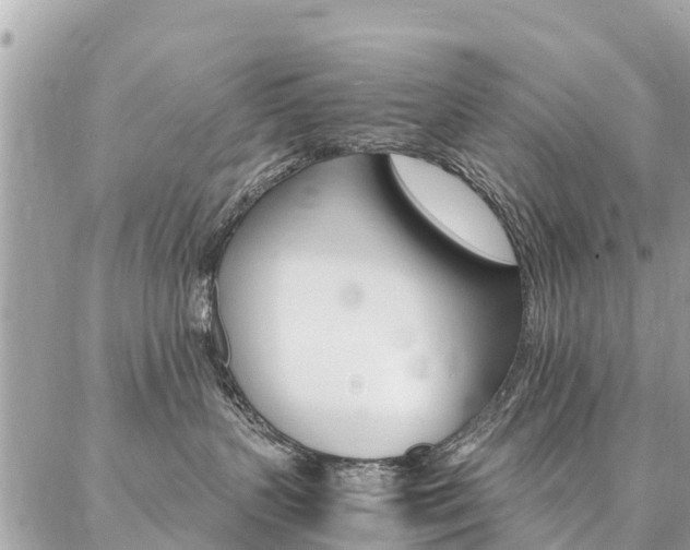 X0000086890383200704161012