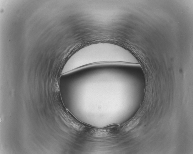 X0000086890384200704161012