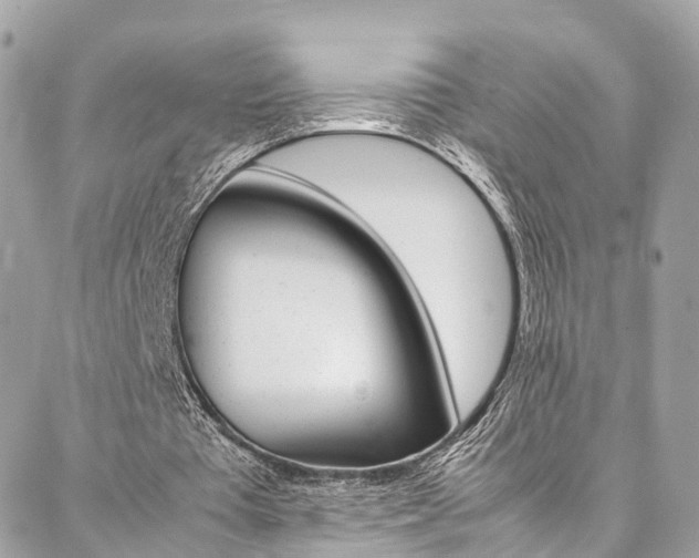 X0000086890385200704161011