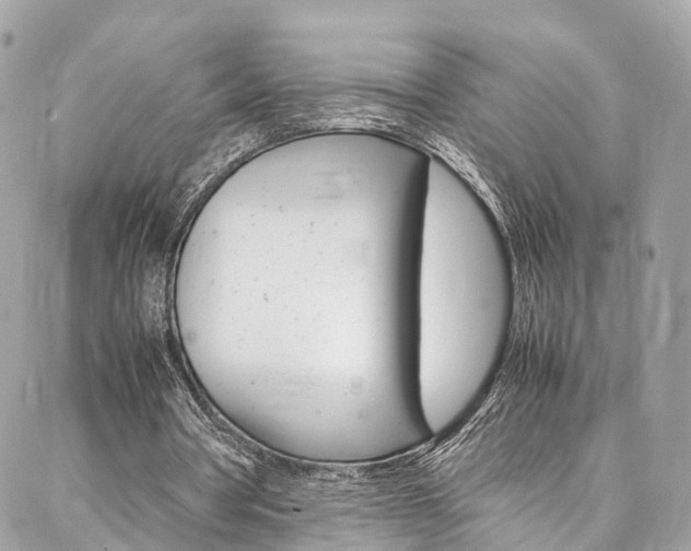 X0000086890386200704161011