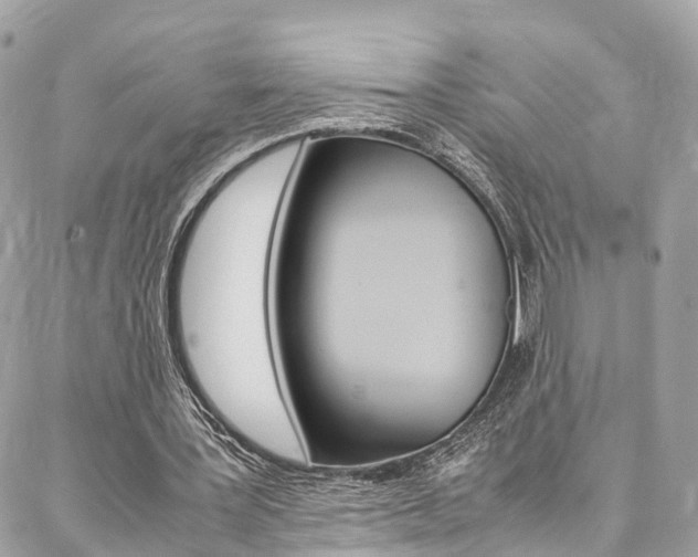 X0000086890387200704161011