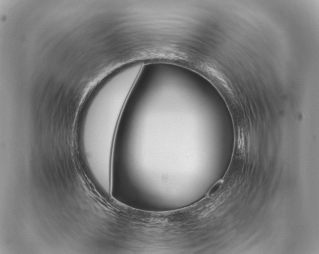 X0000086890388200704161011