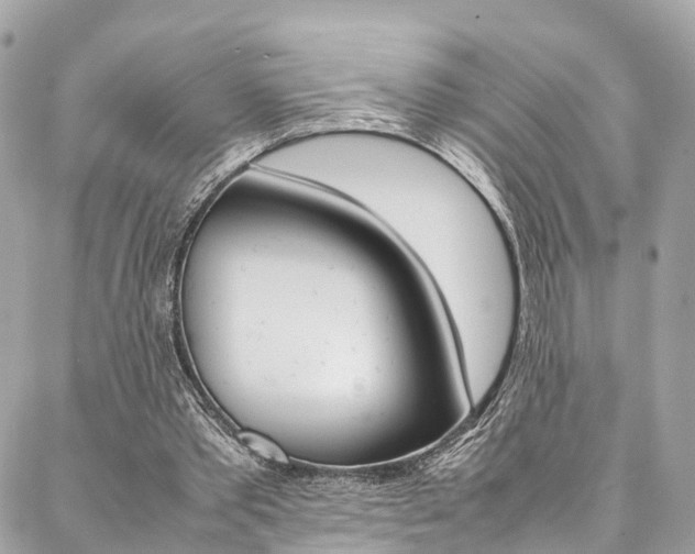 X0000086890389200704161011