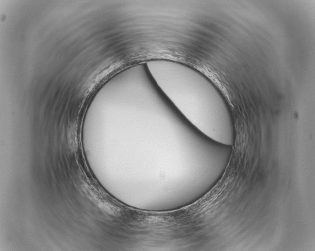 X0000086890390200704161011