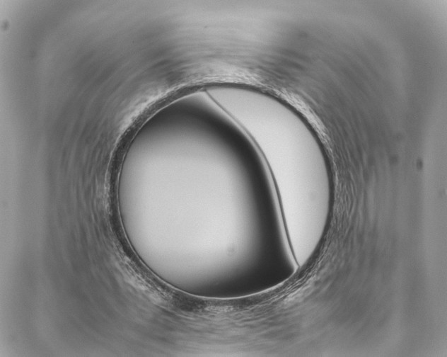 X0000086890391200704161011