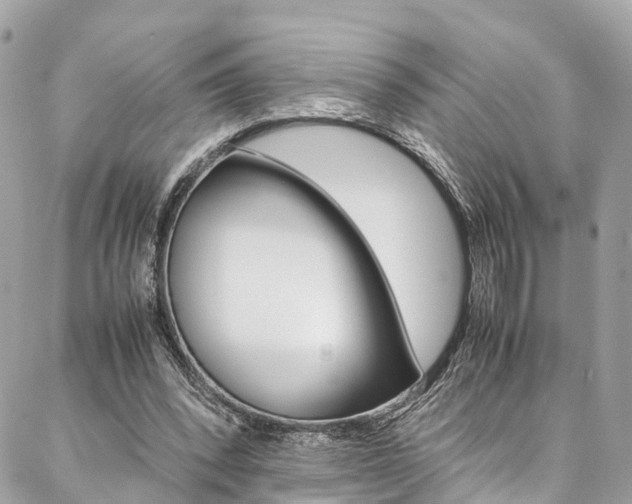 X0000086890392200704161011