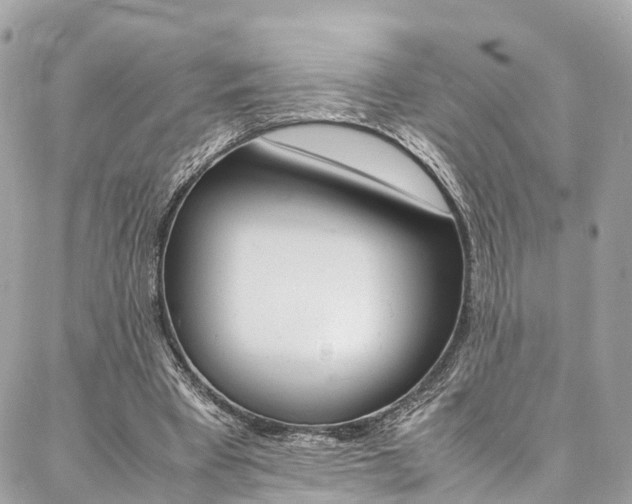 X0000086890393200704161011