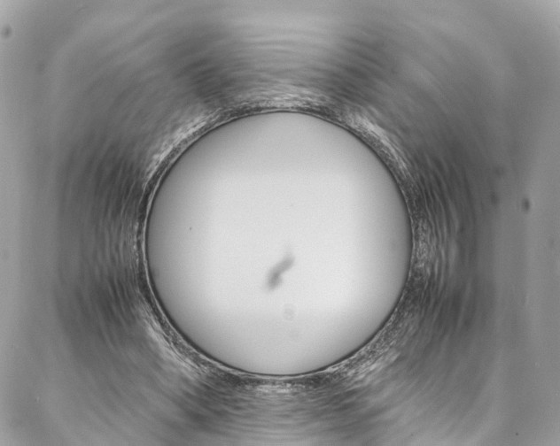 X0000086890394200704161011