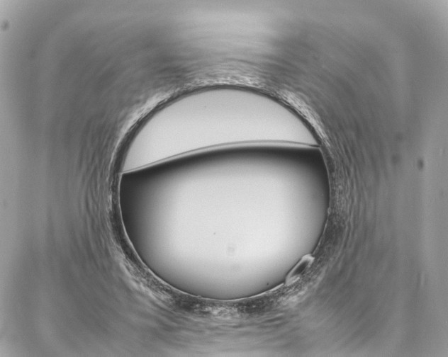 X0000086890395200704161011