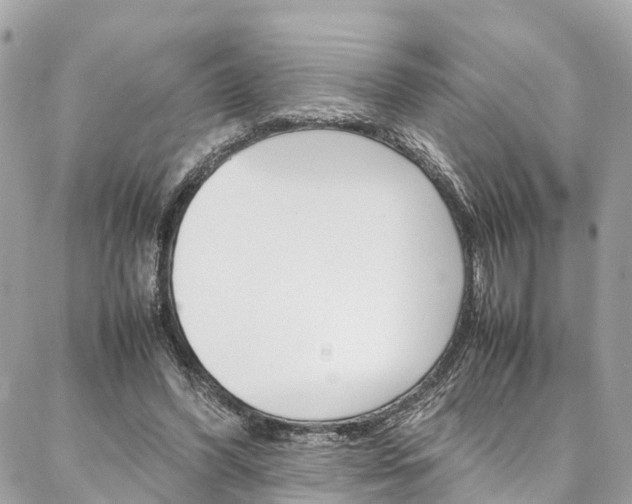 X0000086890396200704161011