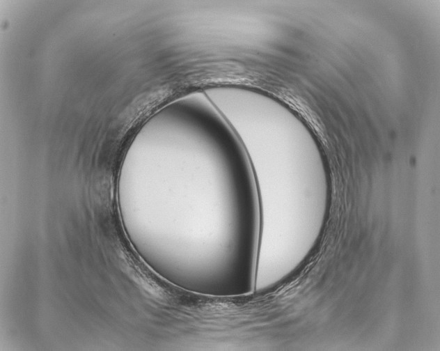 X0000086890397200704161011