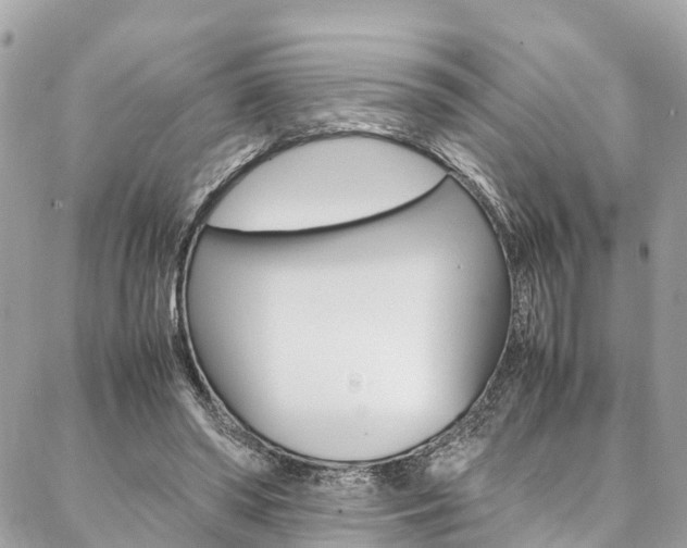 X0000086890398200704161011