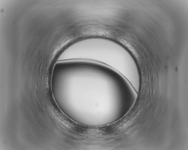 X0000086890399200704161011