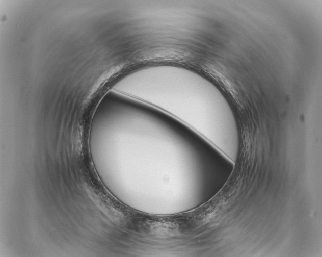 X0000086890400200704161011