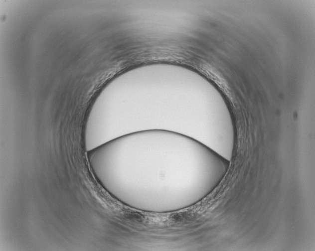 X0000086890401200704161011