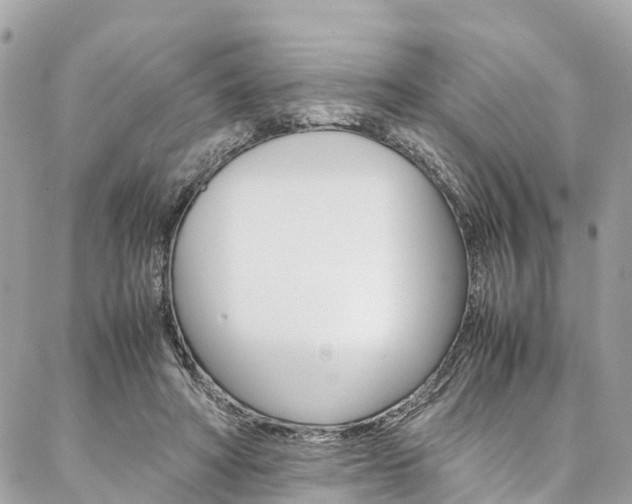 X0000086890402200704161011