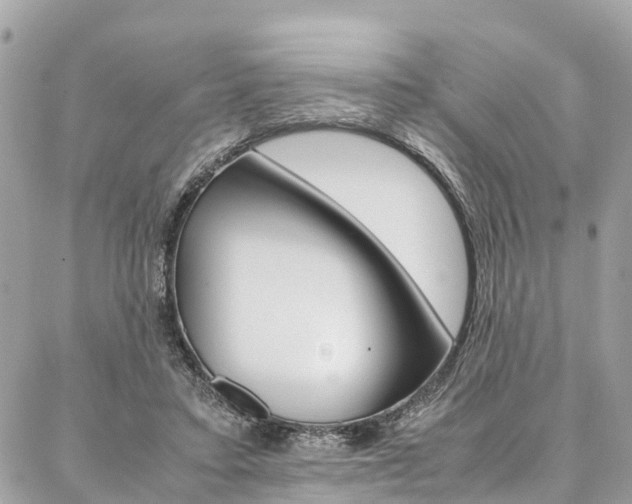 X0000086890403200704161011