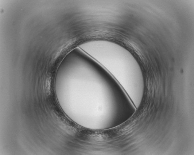 X0000086890404200704161011