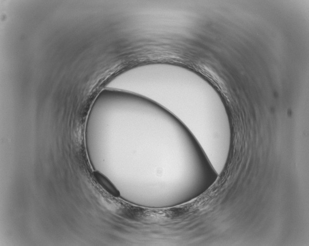 X0000086890405200704161011