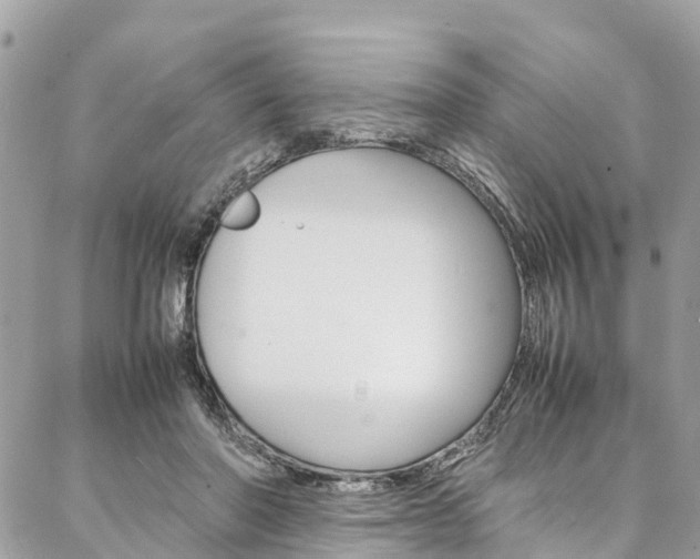 X0000086890406200704161011