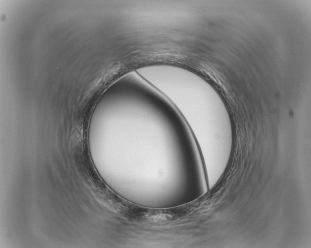 X0000086890407200704161011