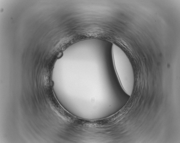 X0000086890408200704161011