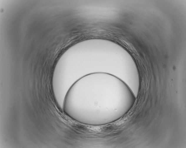 X0000086890409200704161011