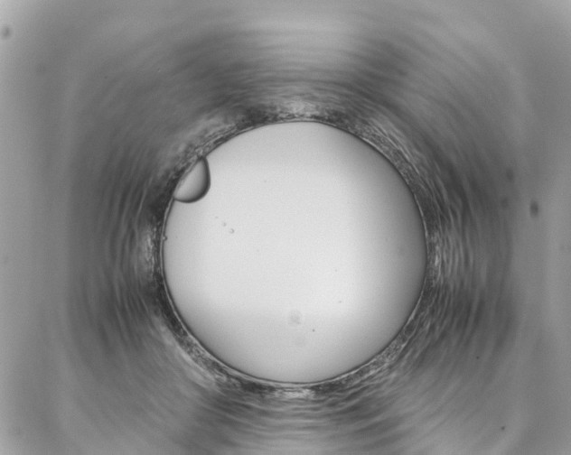 X0000086890410200704161011