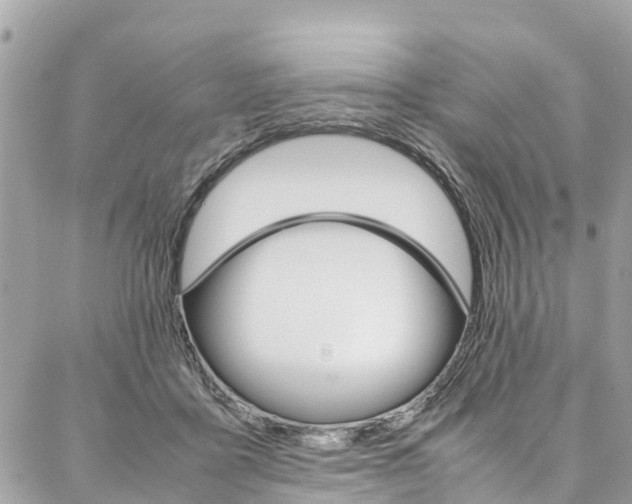 X0000086890411200704161011