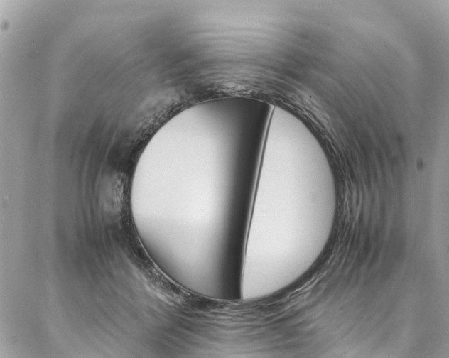 X0000086890412200704161011