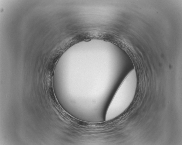 X0000086890413200704161011