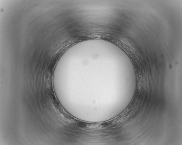 X0000086890414200704161011