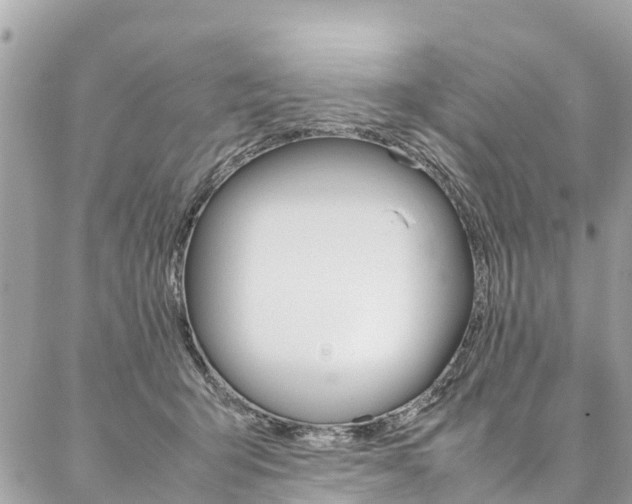 X0000086890415200704161011