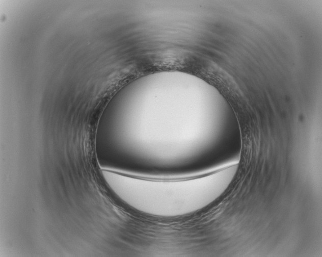 X0000086890416200704161011