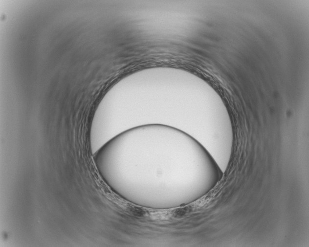 X0000086890417200704161011